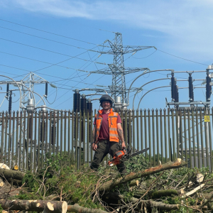 Commercial Tree Surgery in Central Scotland