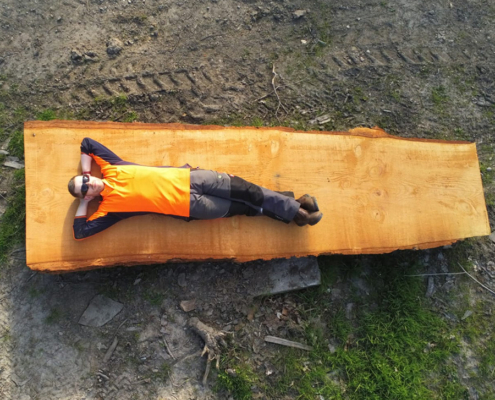 Tree Surgeon In Falkirk