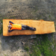 Tree Surgeon In Falkirk