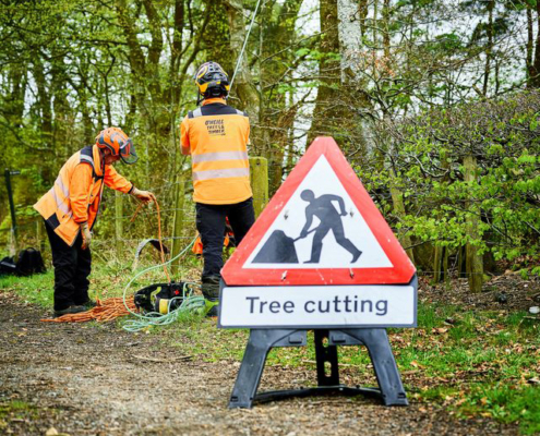 Commercial Tree Surgery in Central Scotland — What Every Property, Land and Development Manager Needs to know