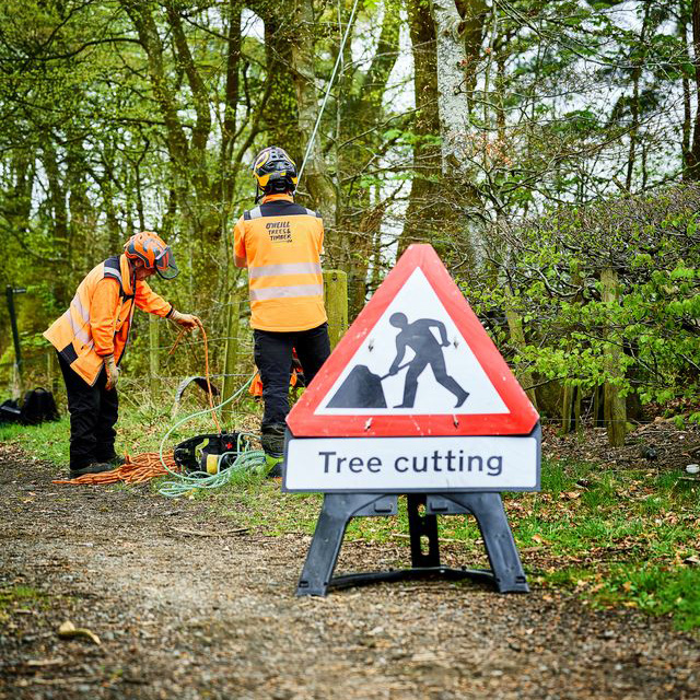 Commercial Tree Surgery in Central Scotland — What Every Property, Land and Development Manager Needs to know Commercial Tree Surgery in Central Scotland — What Every Property, Land and Development Manager Needs to know