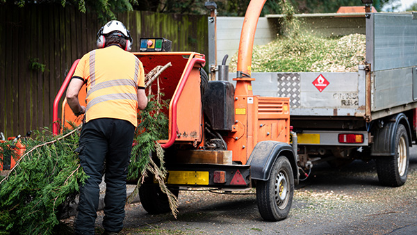 Commercial Tree Surgery in Falkirk, Central Scotland Commercial tree surgery team working on a business or commercial site in Central Scotland